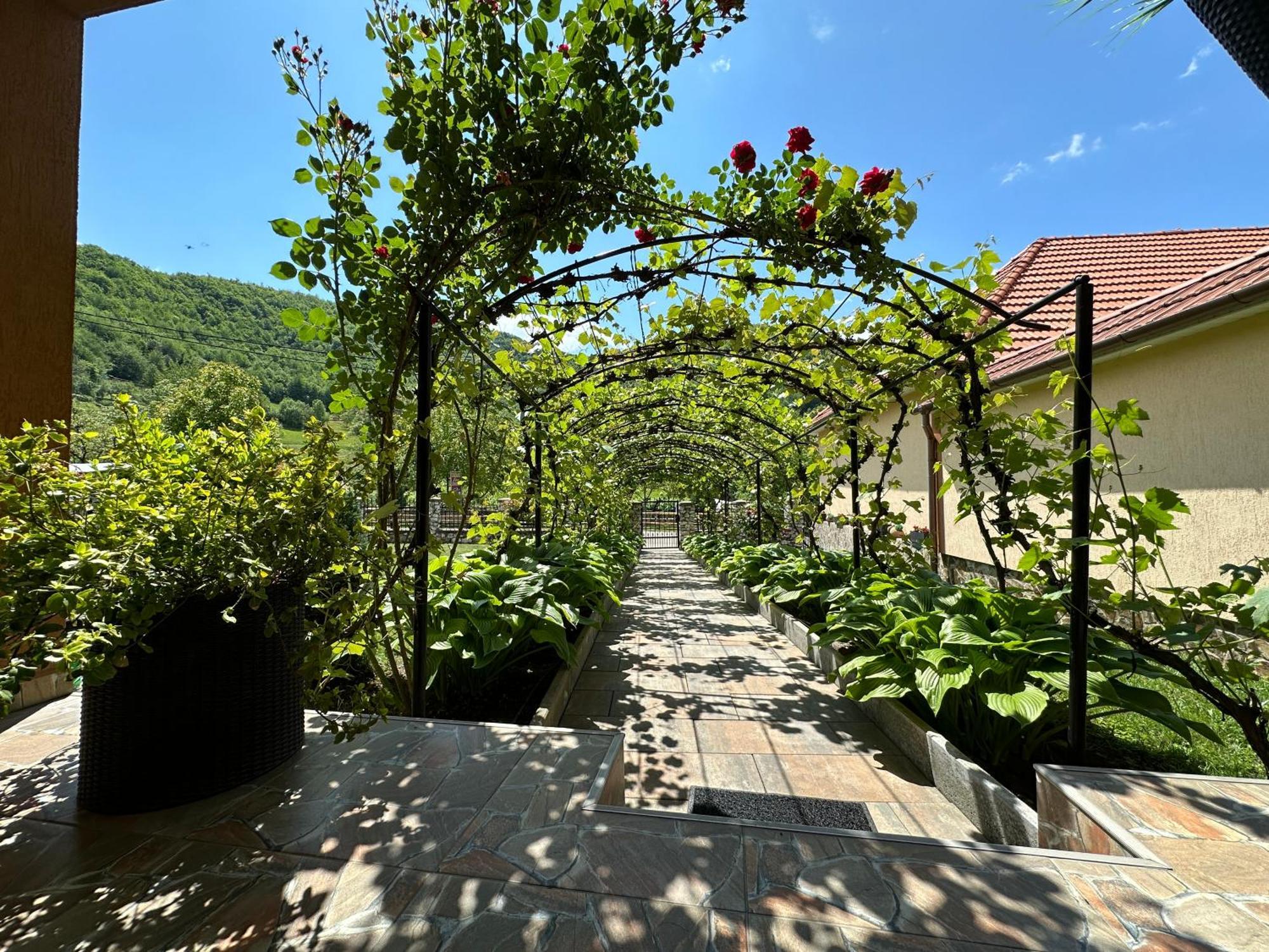 Casa Antonia Hotel Kiskoh Kültér fotó
